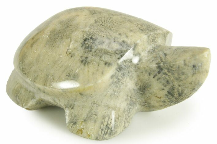 Carved Fossil Yellow Star Coral Turtle - Philippines #367028